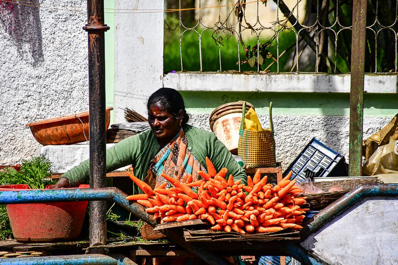 09 05 Selling carrots India-2-2555