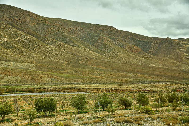 04 02 Dry landscape Moroc-4158