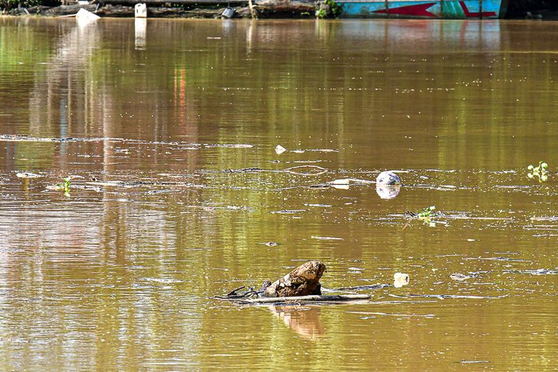 08 26 River debris 4654