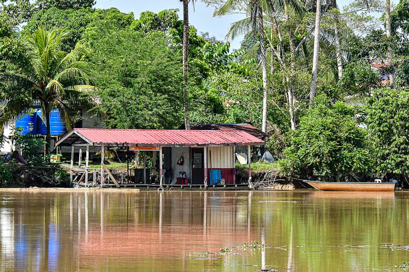 08 26 Operation across the river from Abai Jungle Lodge 4657