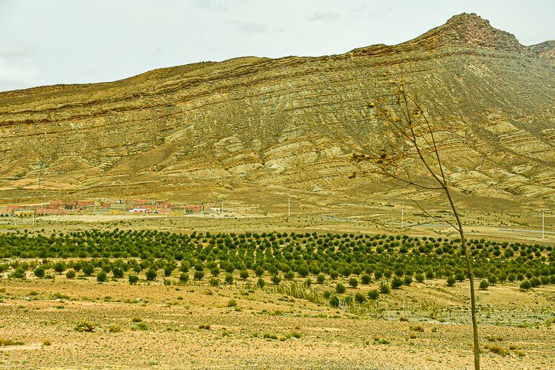 04 02 A village and orchards sited under an ancient sedimentary hill Moroc-4165