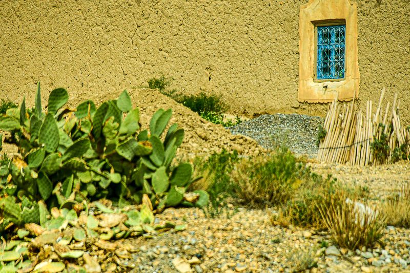 04 02 Blue window Moroc-4172