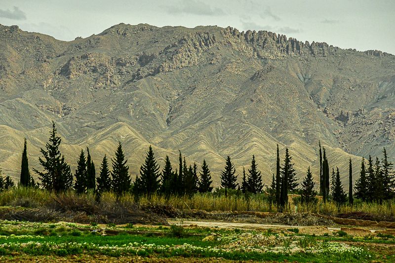 04 02 Plant nursery against a highly eroded mountain background Moroc-4191