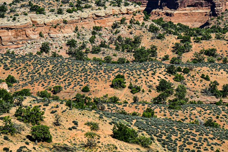 05 03 Utah19-2-1316