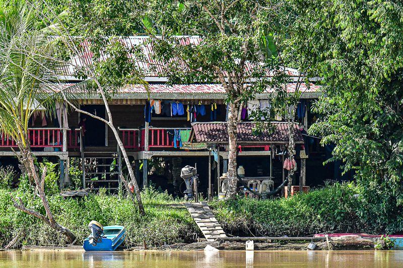 08 26 Residence across the river from Abai Jungle Lodge 4664