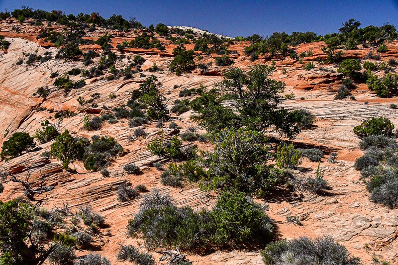 05 03 At Mesa Arch Utah19-2-1402