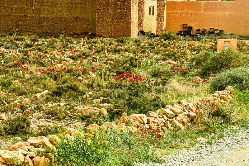 04 02 Road-side cemetery Moroc-4230