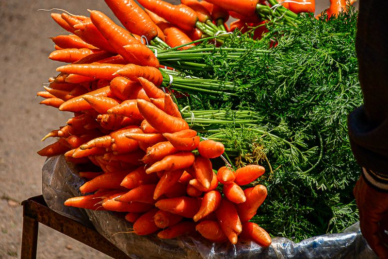 09 05 Freshly dug carrots - India-2-2635