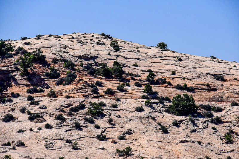 05 03 Utah19-2-1412