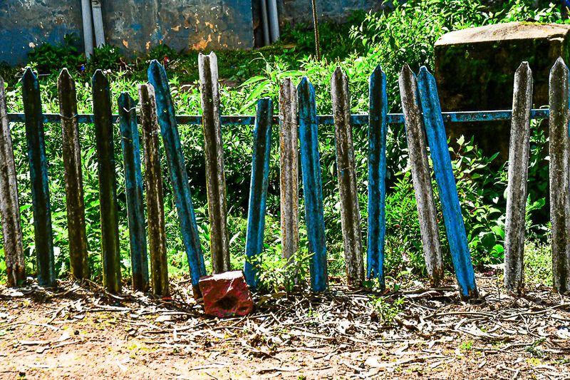 09 05 Out of Ooty India-2-2689