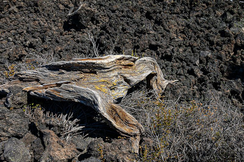 07 19 Trail of the Molten Land 7914