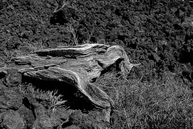 07 19 Trail of the Molten Land 7914-2