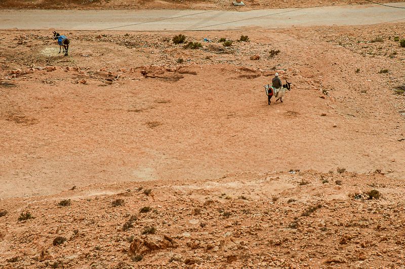 04 02 Looking down at life in the Ziz Oasis Moroc-4281