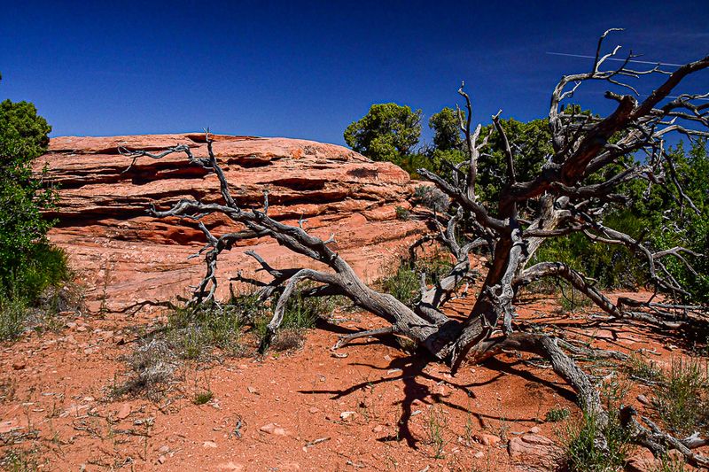05 03 Grand View Point Utah19-2-1442