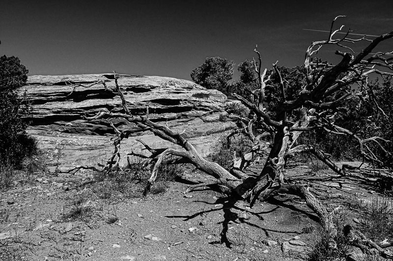 05 03 Grand View Point Utah19-2-1442-2