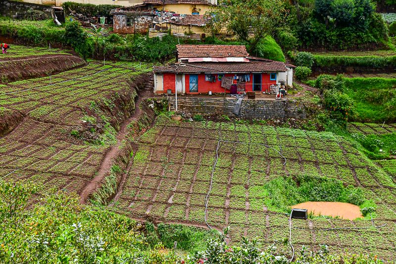 09 05 Hillside gardens India-2-2697