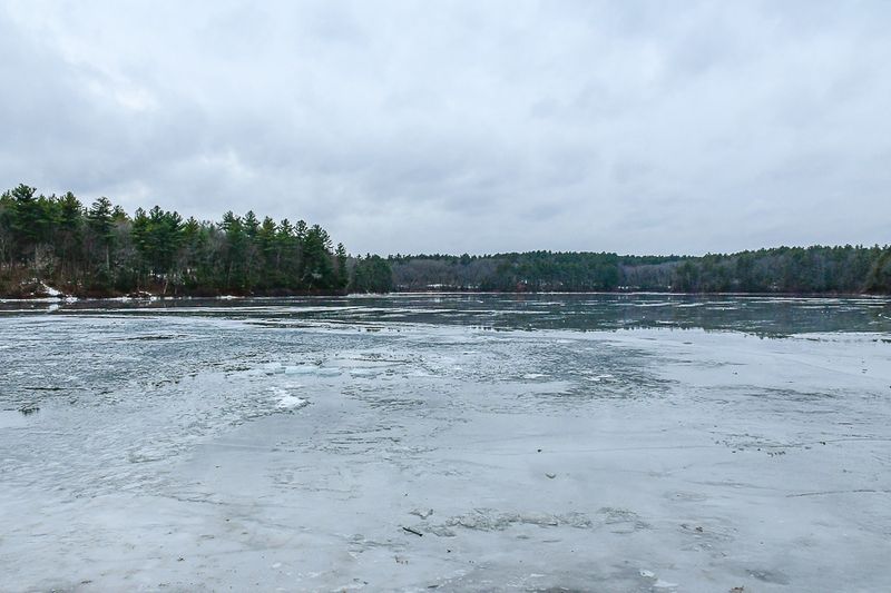 2025 01 18 On Walden Pond 0383