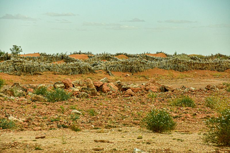 04 02 Sand fencing Moroc-4307