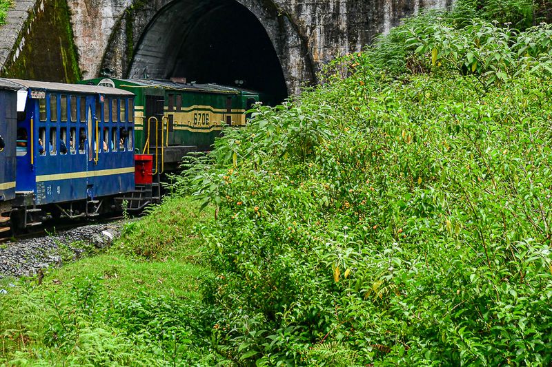 09 05 Into one of the many tunnels on the route India-2-2714