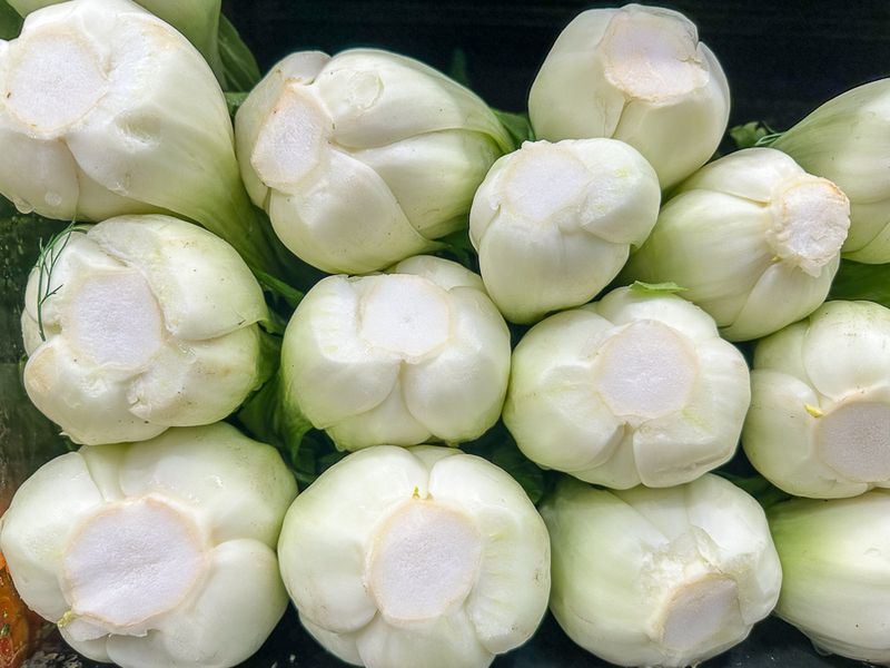 01 16 Napa cabbages i2563