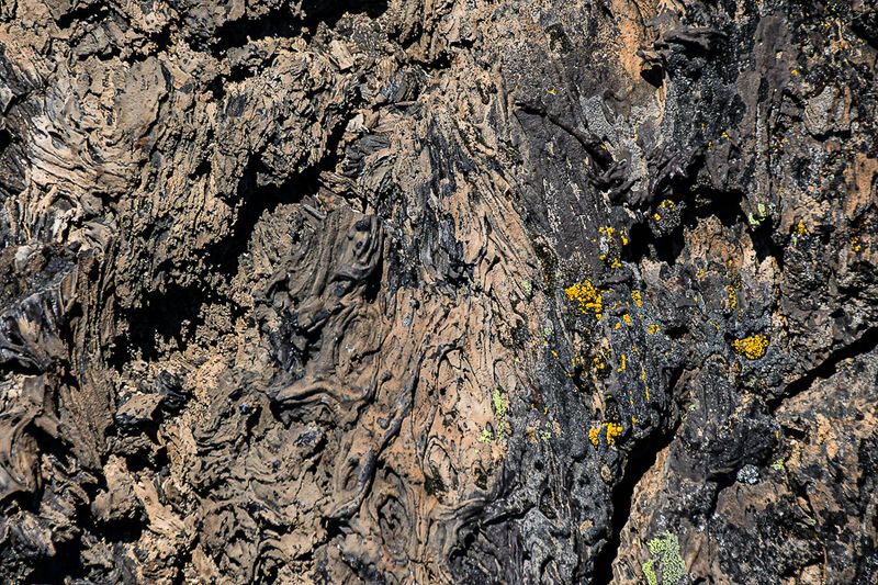 07 19 Lava and lichens 7936