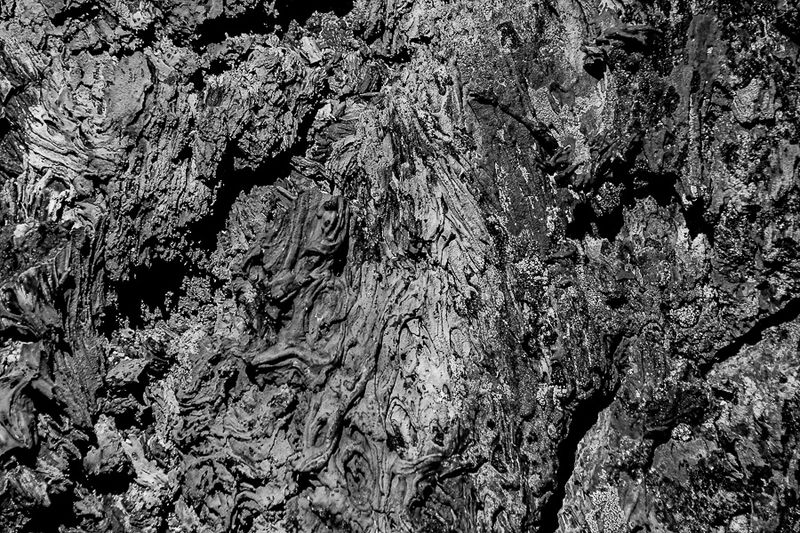 07 19 Lava and lichens 7936-2