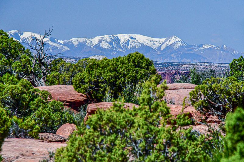 05 03 La Sal Mountains 1439