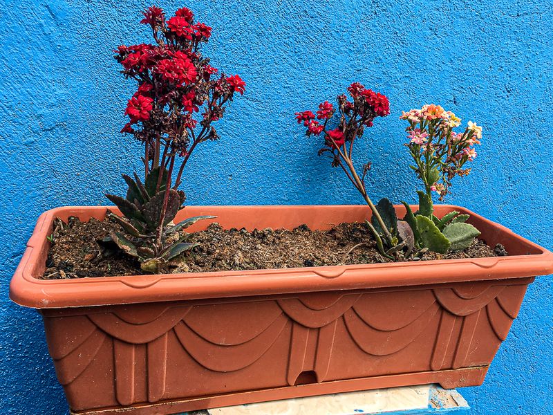 04 02 Decour Moroc-i063N