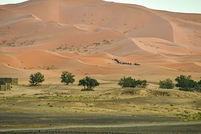 04 02 Tourist caravan on the dunes Moroc-4351