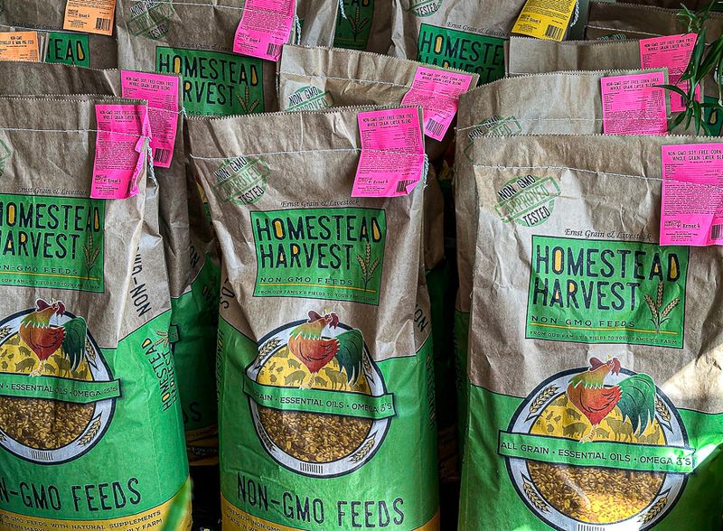 2024 09 04 Non-GMO eed for sale i0399