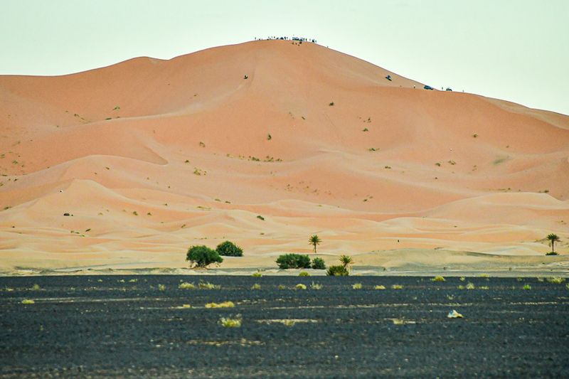 04 02 Crowded dune Moroc-4360