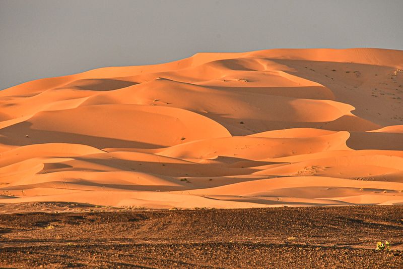 04 02 El Chebbi near sundown Moroc-4382