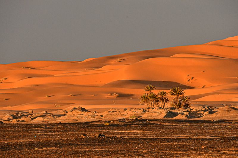 04 02 El Chebbi near sundown Moroc-4387