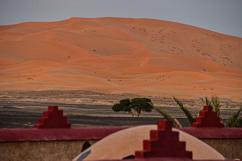 04 02 Dune from the Riad Madu Moroc-4405