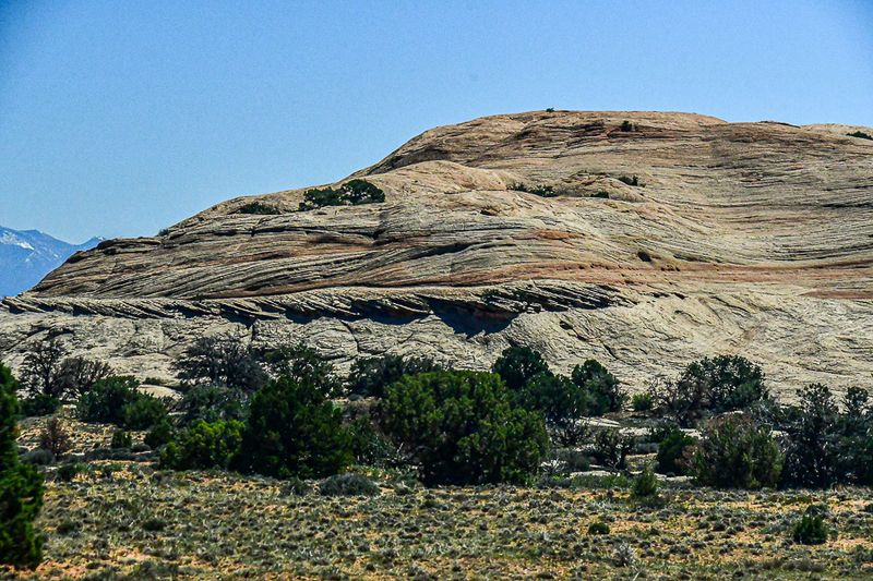 05 03 Utah19-2-1557
