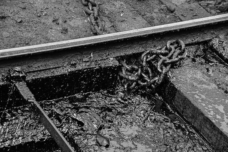 09 05 Oily India-2-2832bw