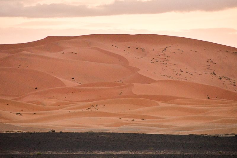 04 03 El Chebbi dune in morning Moroc-4440
