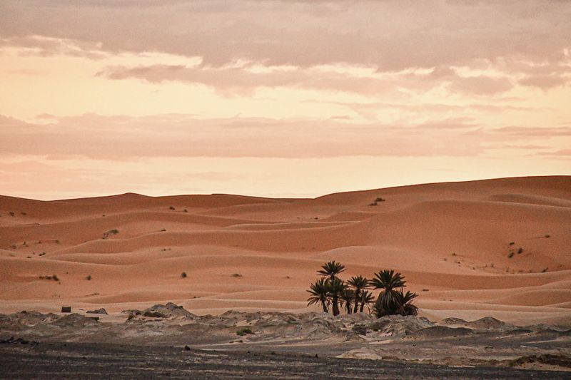 04 03 El Chebbi morning Moroc-4441