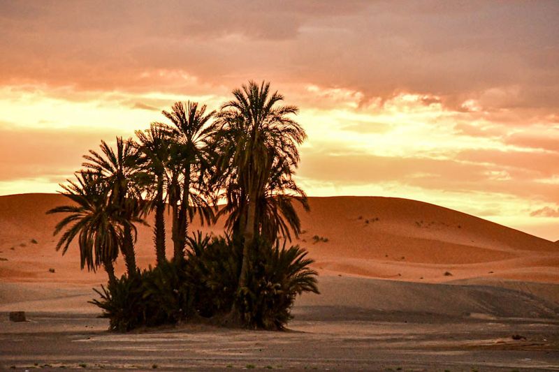 04 03 El Chebbi morning Moroc-4475