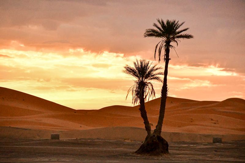 04 03 El Chebbi morning Moroc-4482
