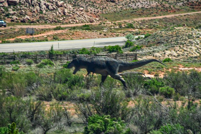 05 03 Oh the loose Utah19-2-1578