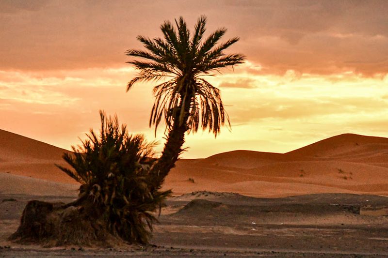 04 03 El Chebbi morning Moroc-4488