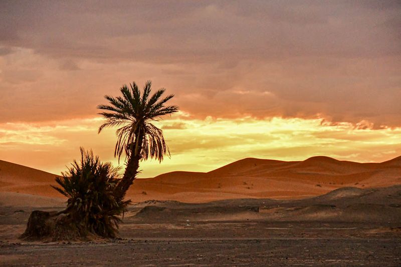 04 03 El Chebbi morning Moroc-4489