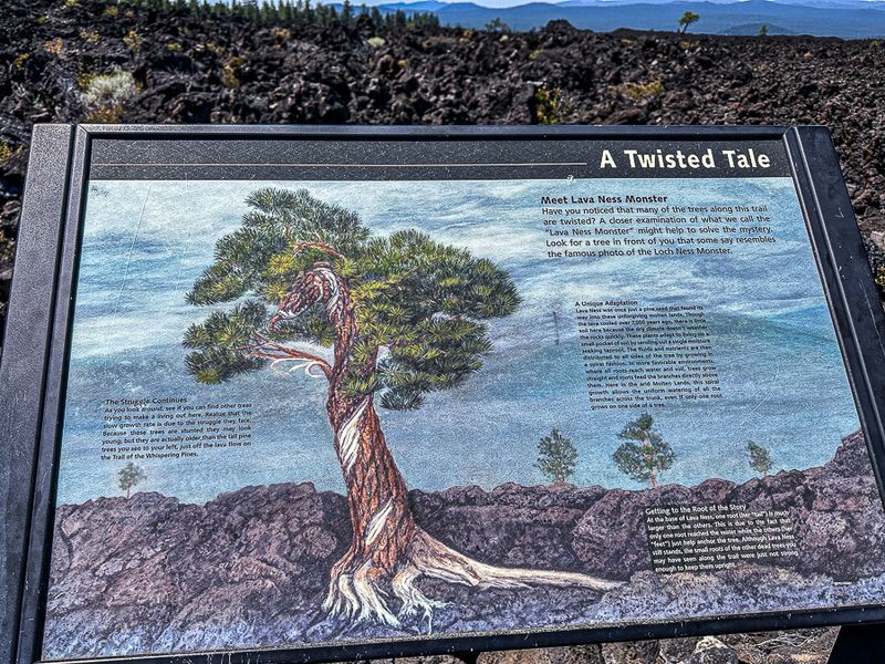 Newberry National Volcanic Monument