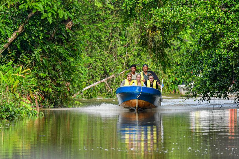 Abai - Abai Jungle Lodge