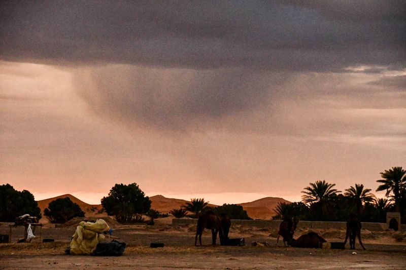 Erg Chebbi