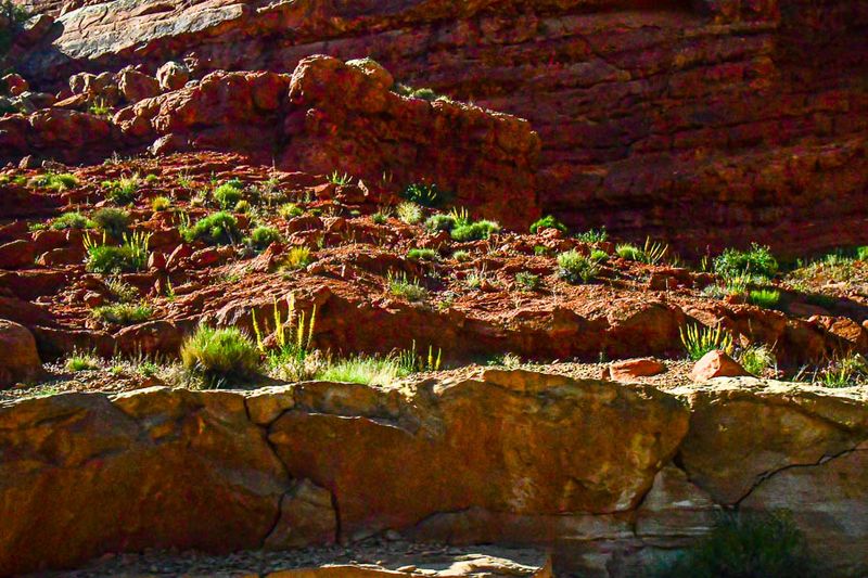 Arches National Park