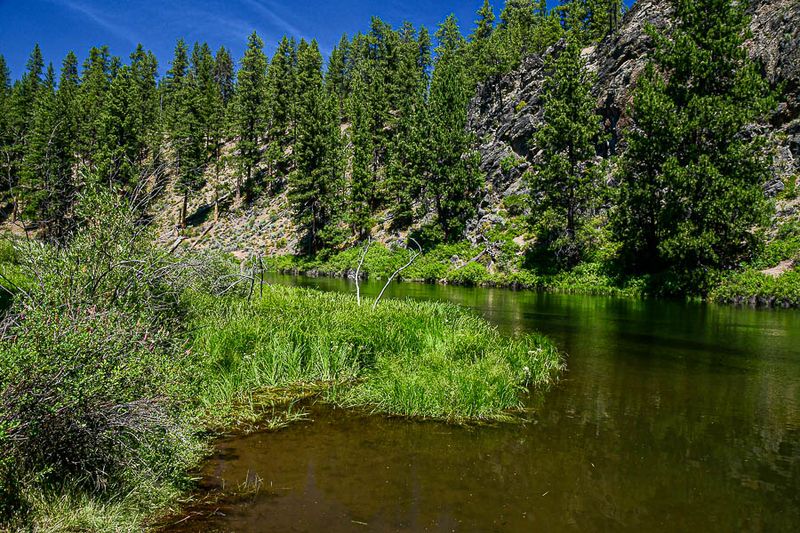 2024 07 19 Deschutes above Benham Falls 7979