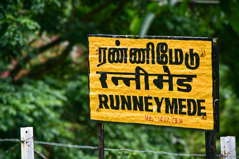 09 05 Runneymede India-2-2956