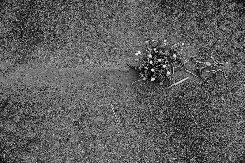04 03 The way the wind blows Moroc-4557-2